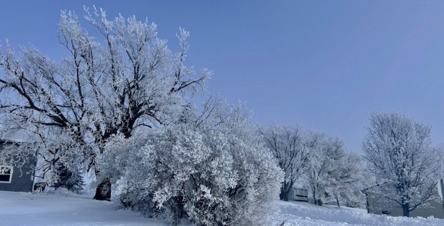 Псков «Святыни земли Псковской» в Псков, Печоры, Изборск на 2 дня Паломническая поездка Псков «Святыни земли Псковской» в Псков, Печоры, Изборск на 2 дня Паломническая поездка